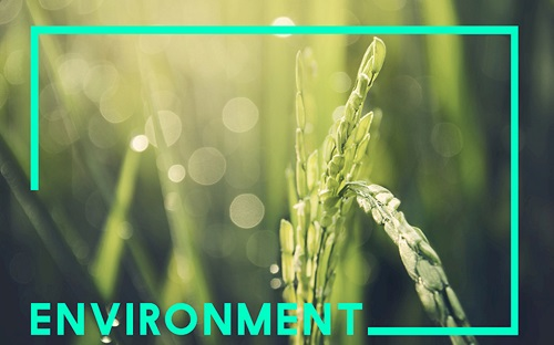 1645154346108767.png image.png