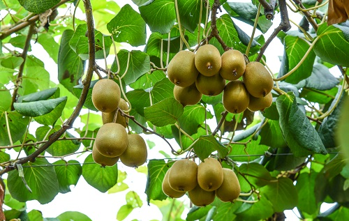 1645587156665013.png image.png