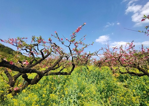 1651730138166291.png image.png