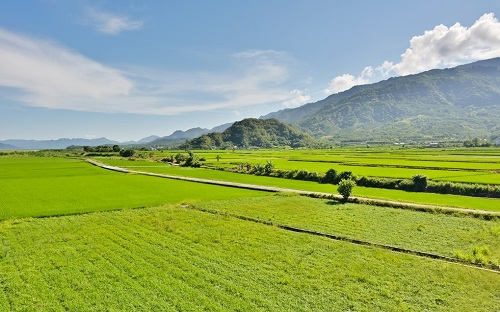 1653619639295597.png image.png