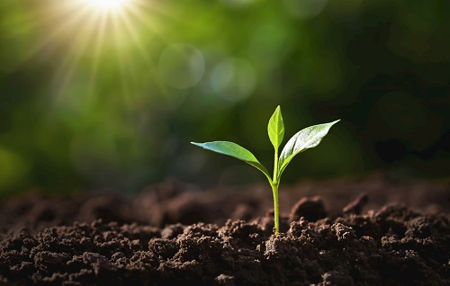 1654140027593013.png image.png