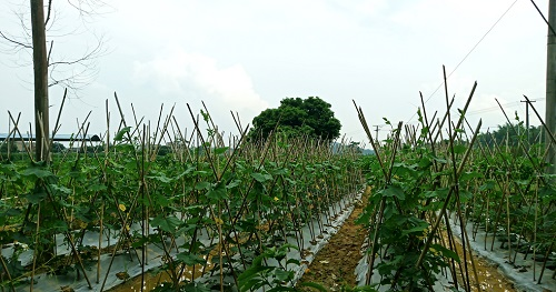 1658293851686679.png image.png