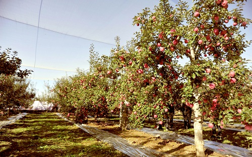 1666333702204012.png image.png