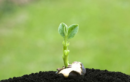 1667971540420183.png image.png