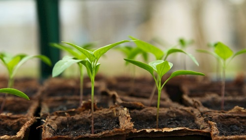 1677218738145826.png image.png