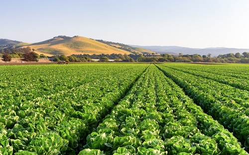 1677734190432523.png image.png