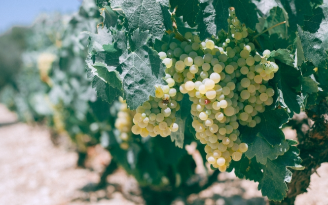 ���������������B�֙z�y�x����Ч��������ʩ����