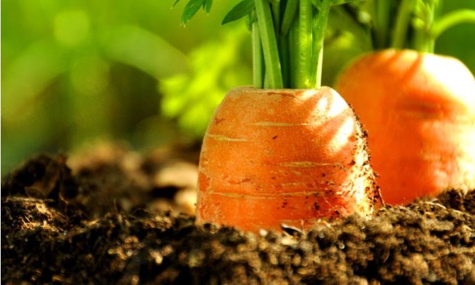 1684377505123968.png 1684377505123968.png