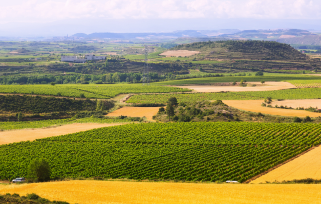 1684981273855274.png 1684981273855274.png